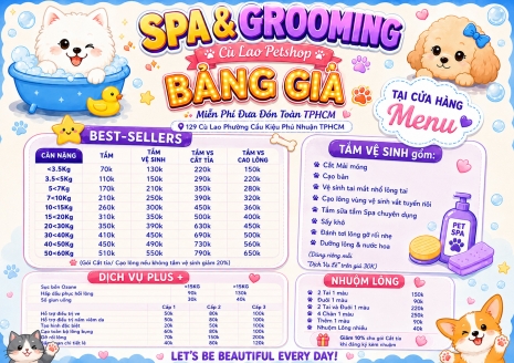 Tắm Chó Mèo, Cạo Lông, Cắt Tỉa Lông Giá Rẻ Uy Tín