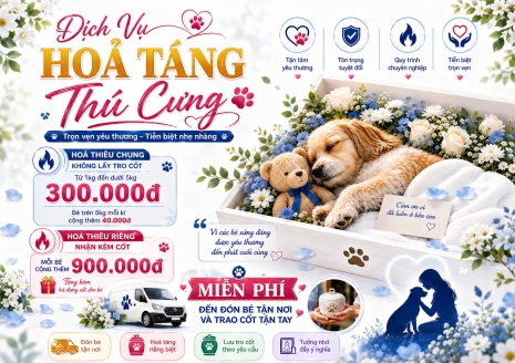 DỊCH VỤ HỎA THIÊU THÚ CƯNG HỎA TÁNG CHÓ MÈO TPHCM